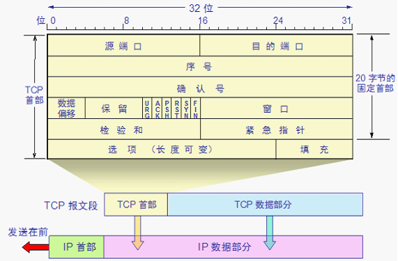 tcp